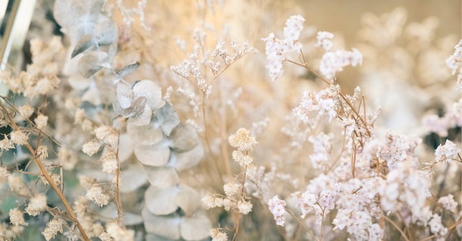 Holistic Microneedling